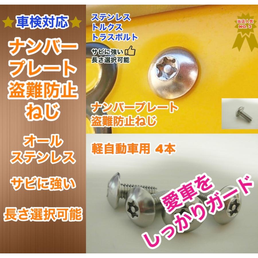軽自動車のナンバープレートねじ交換用 盗難防止ネジ 4本セット