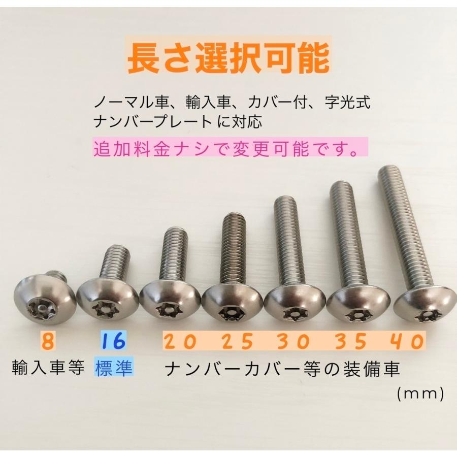 盗難防止ネジ ナンバープレートねじ ステンレス トルクス トラスボルト