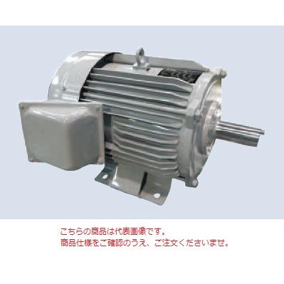 三菱電機 SF-PRO 750W 0.75KW 4P 200V 屋外形トップランナーモータ SF