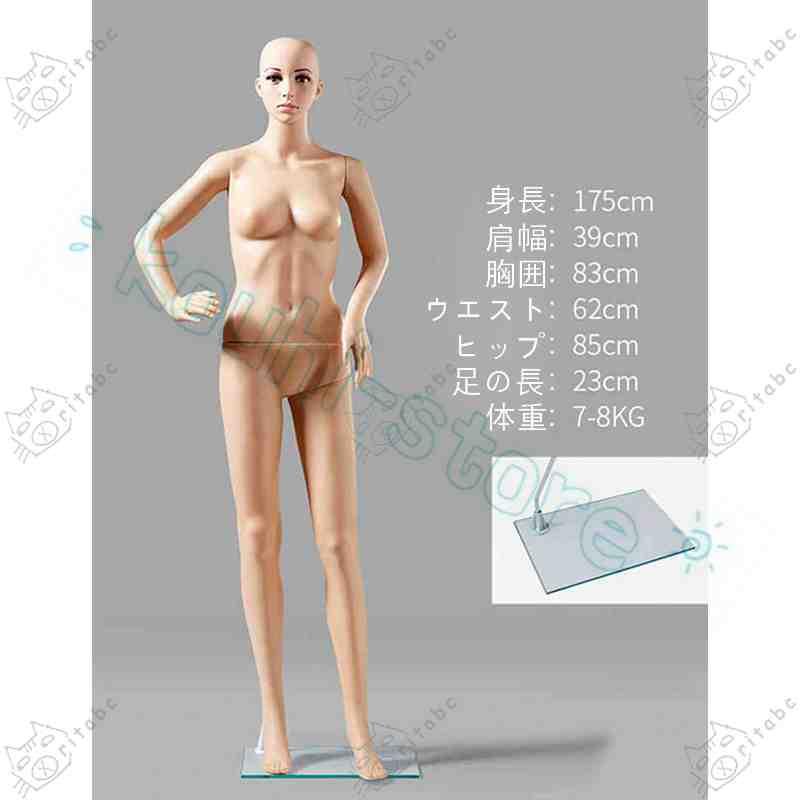 マネキン 全身 リアルマネキン 女性 男性 靴対応 軽量 B83 W61 H86