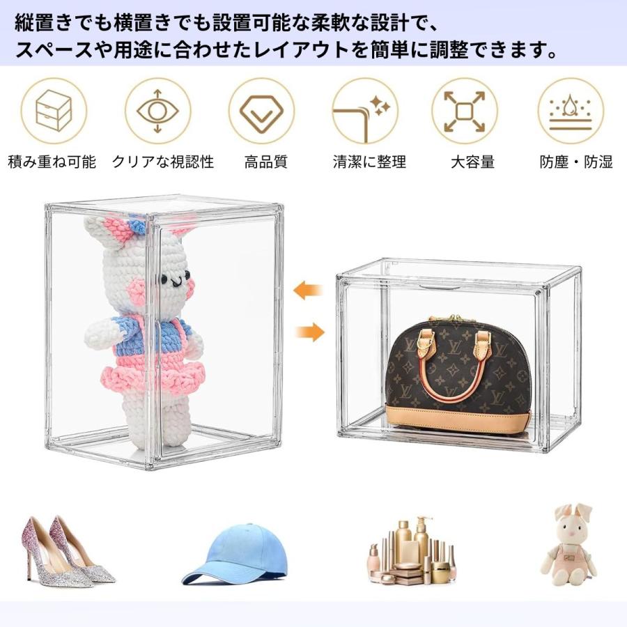 フィギュアケース アクリル 30cm コレクションケース 扉 大型 (仕切り