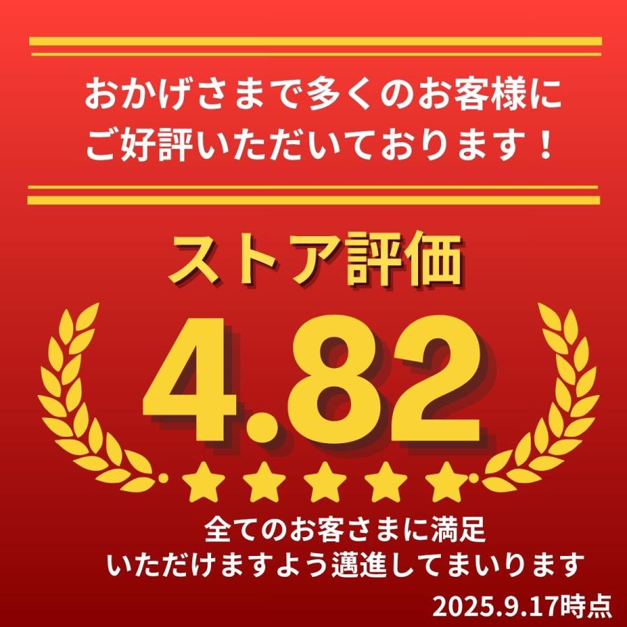 本日ボーナスストアP5％還元／ ショルダーバッグ メンズ 小さい 斜
