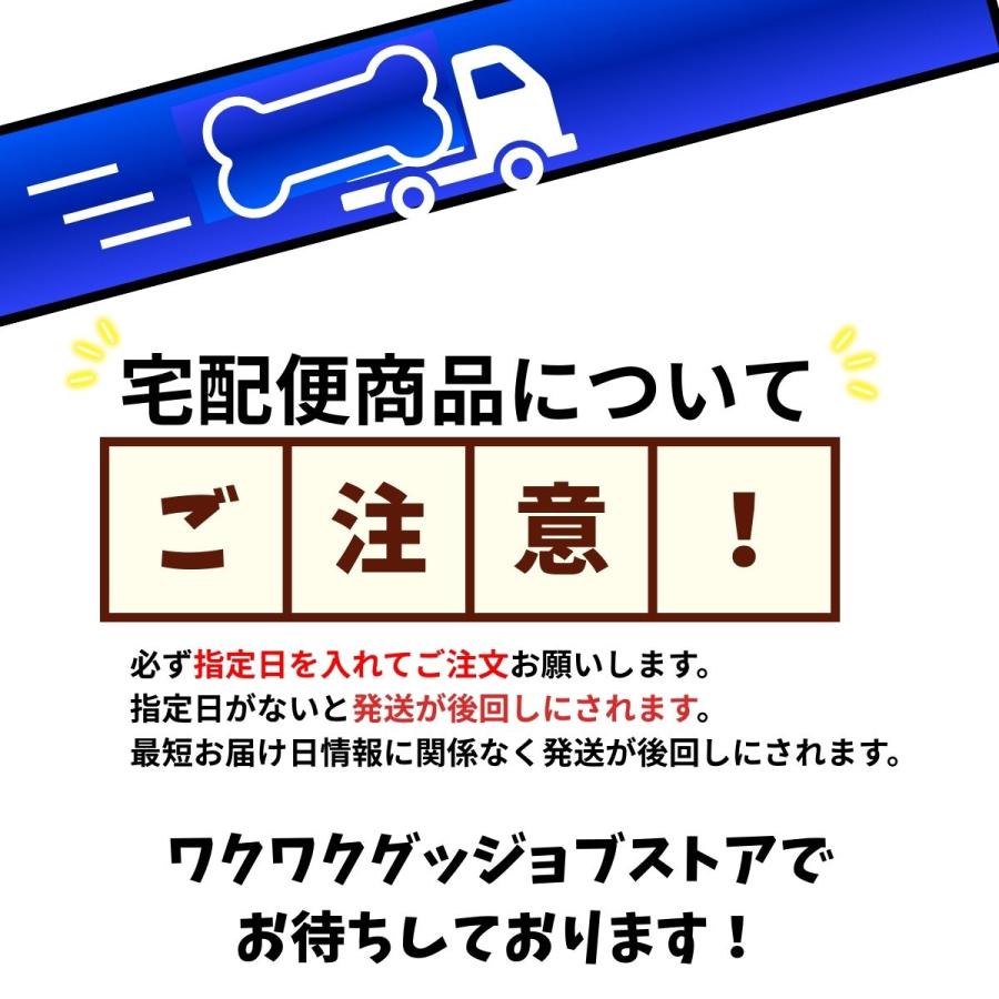 センサー ライト 室内 ねこ 人感センサー 充電式 足元灯 led フット