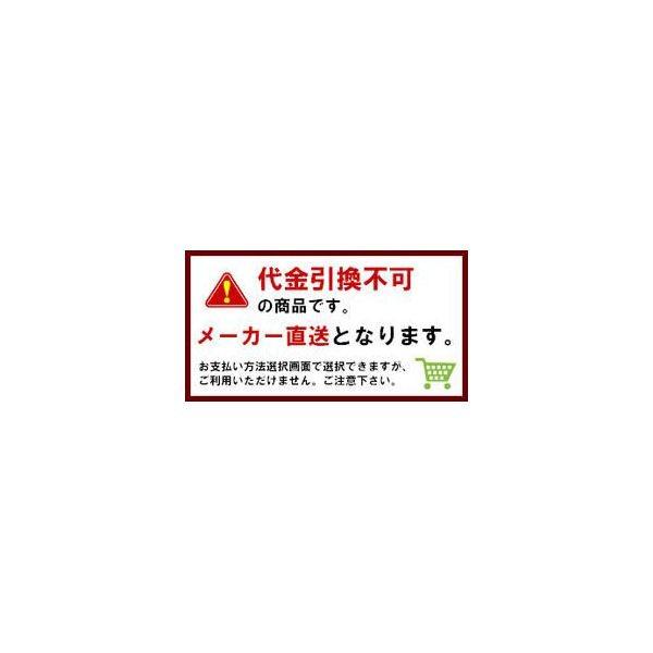 フレコンバック丸形底穴無　005タイプ　（10枚セット）　（代引き不可）