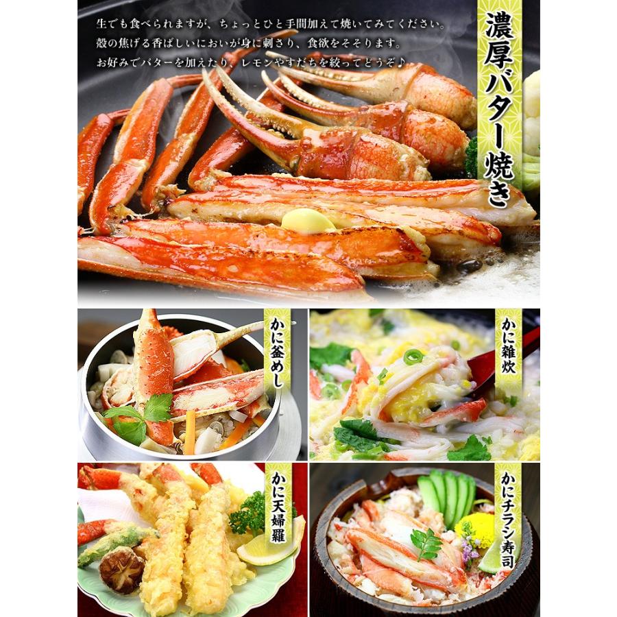 お刺身OK カット生ずわい蟹 A.一番人気の定番品700g(総重量1kg) B.特大棒ポーション400g(総重量500g) C.特大爪/爪下/肩肉800g(総重量1.1kg) FF :100005:越前かに職人 甲羅組 - 通販 - Yahoo!ショッピング お刺身OK カット生ずわい蟹 A.一番人気の定番品700g(総重量1kg) B.特大棒ポーション400g(総重量500g) C.特大爪/爪下/肩肉800g(総重量1.1kg) FF :100005:越前かに職人 甲羅組 - 通販 - Yahoo!ショッピング
