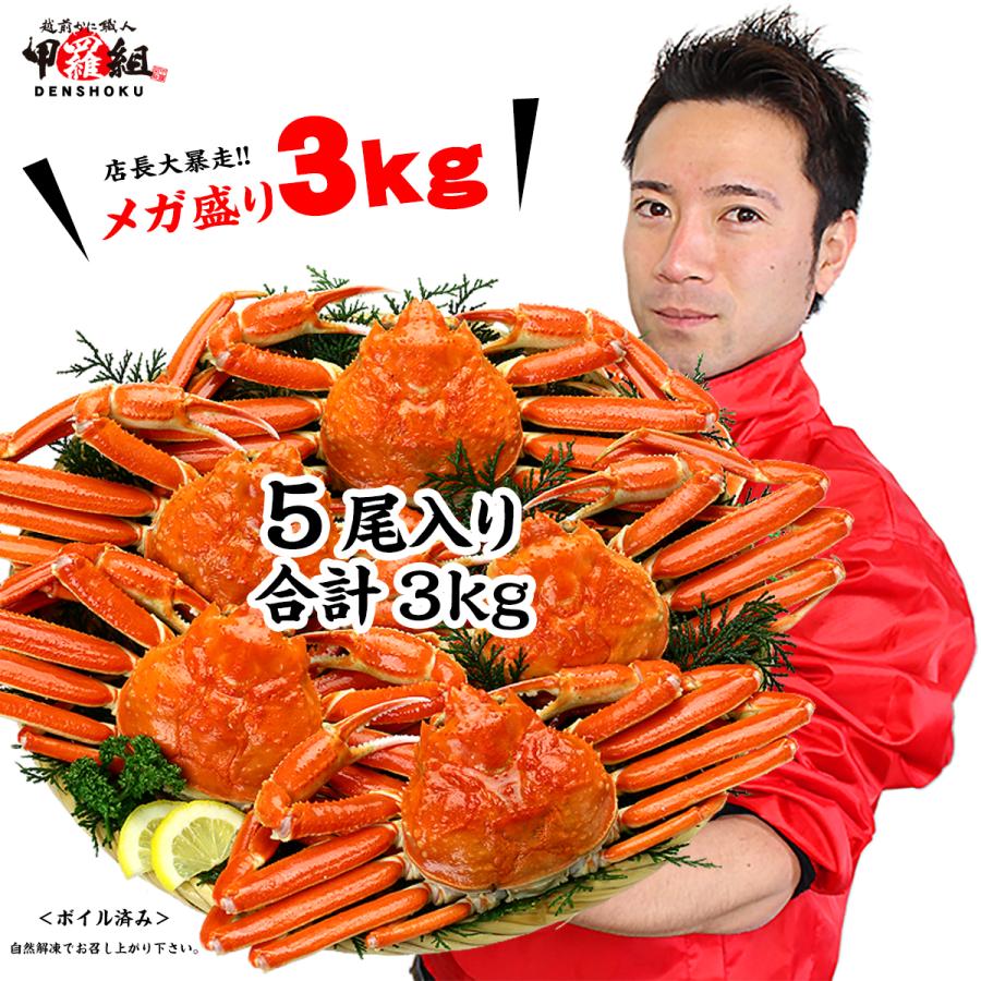 カニ かに 蟹 ズワイガニ 特大 ズワイガニ 姿 メガ盛 ボイル 3kg ずわいがに姿 5尾 FF ポイント利用 爆買