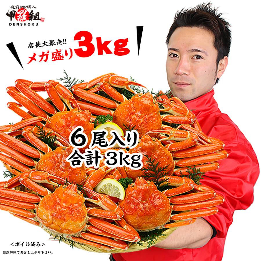 カニ かに 蟹 ズワイガニ 中型 ズワイガニ 姿 メガ盛 ボイル 3kg ずわいがに姿 6尾 ※業務用産地箱のため食べ方の説明書は同封不可 FF ポイント利用 爆買