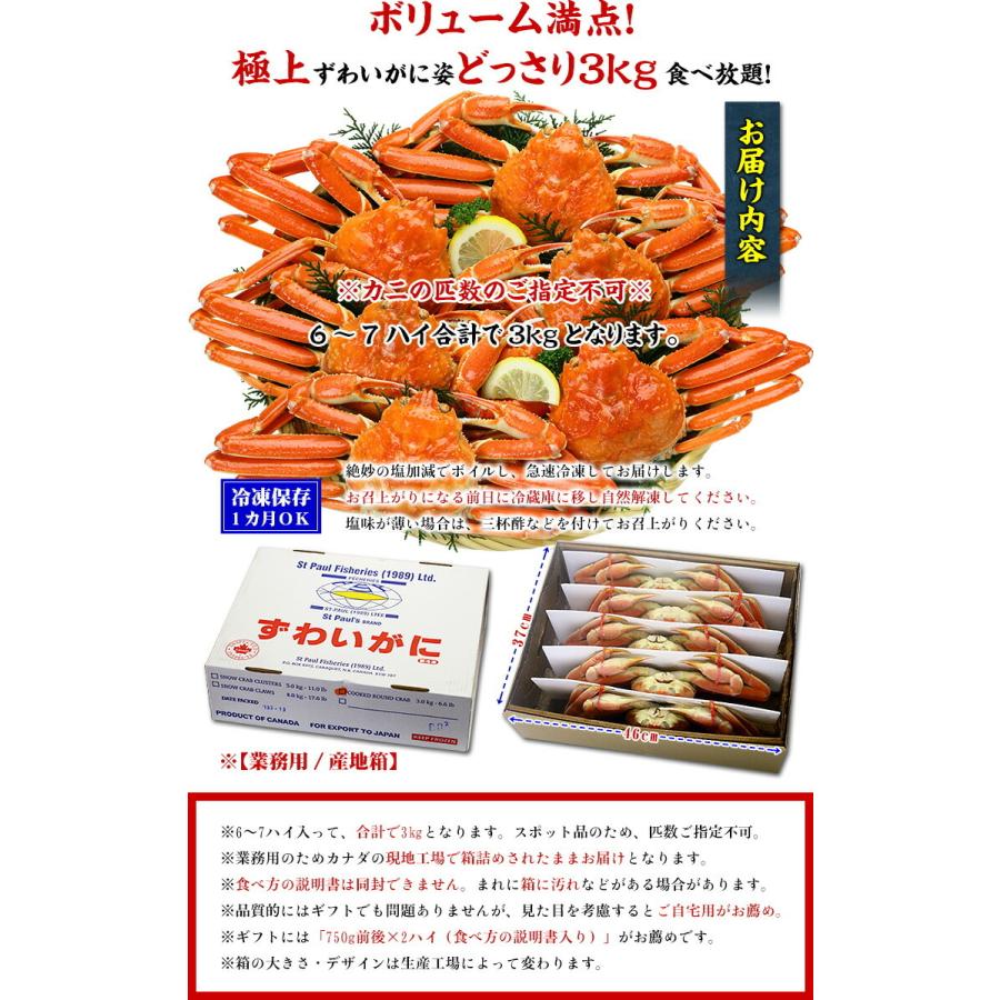 遅れてごめんね 父の日 ギフト メガ盛3kg ボイルずわいがに姿 6 7ハイ 食べ放題 業務用産地箱のため食べ方の説明書は同封不可 ズワイガニ 越前 かに職人 甲羅組 通販 Paypayモール