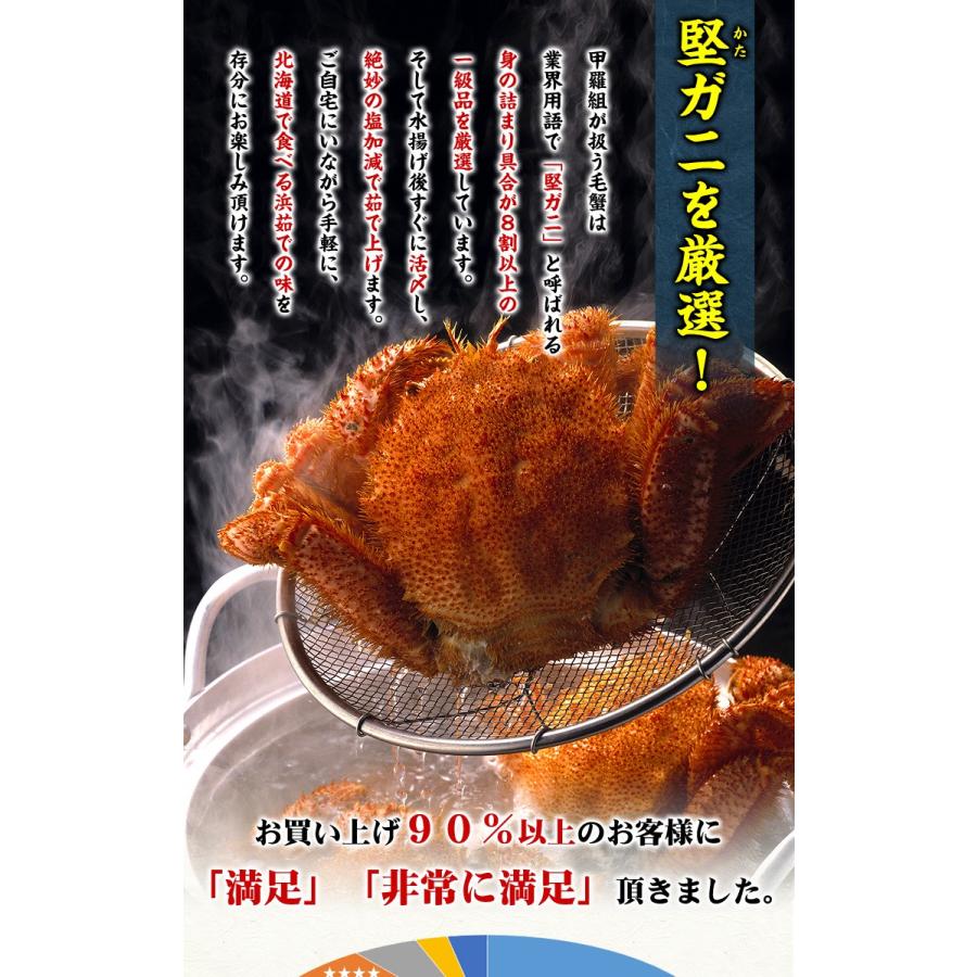 甲羅組 かに 蟹 毛蟹 毛ガニ 北海道 オホーツク海 流氷海明け