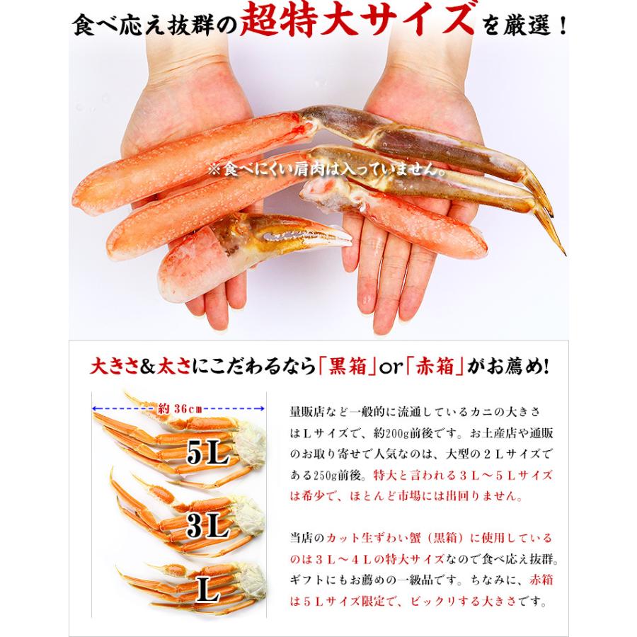 父の日 21 ギフト 超特大 超極太5lサイズ厳選 カット生ずわい蟹 赤箱 1kg 送料無料 公式サイト かに カニ ズワイガニ 肩肉なし お刺身 蟹 約4人前
