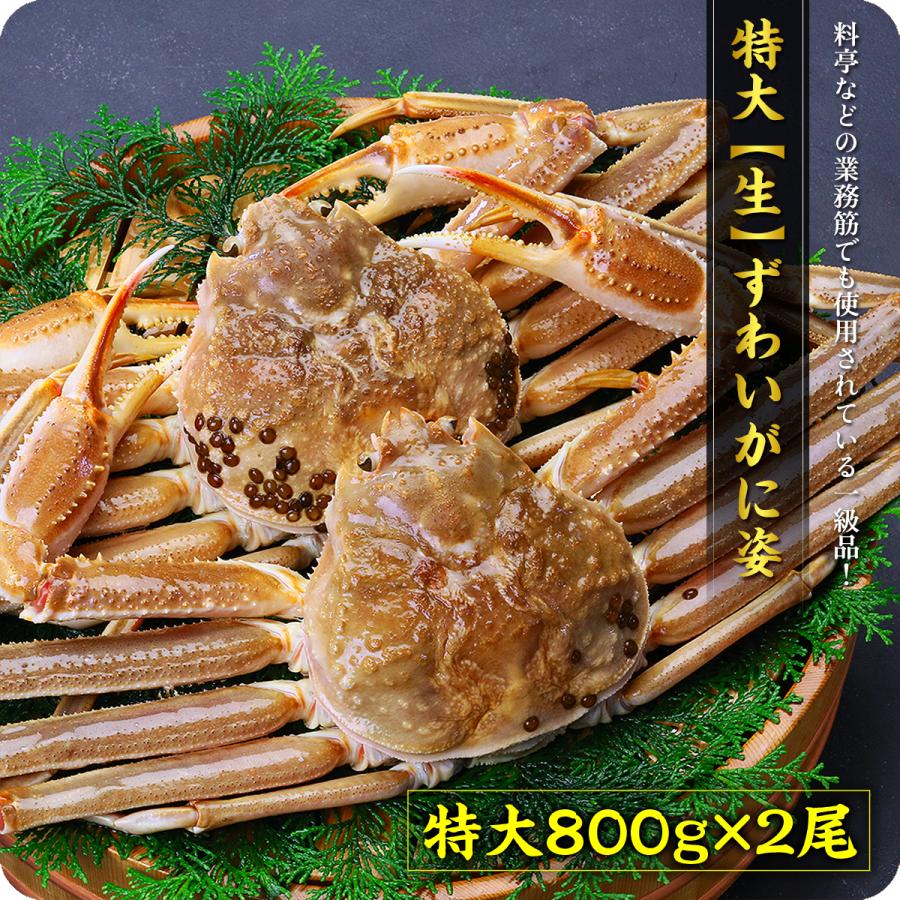 カニ かに 蟹 超特大サイズ 生ずわいがに姿800g前後×2尾入 ズワイガニ ギフト 贈り物 誕生日 母の日 FF｜kouragumi