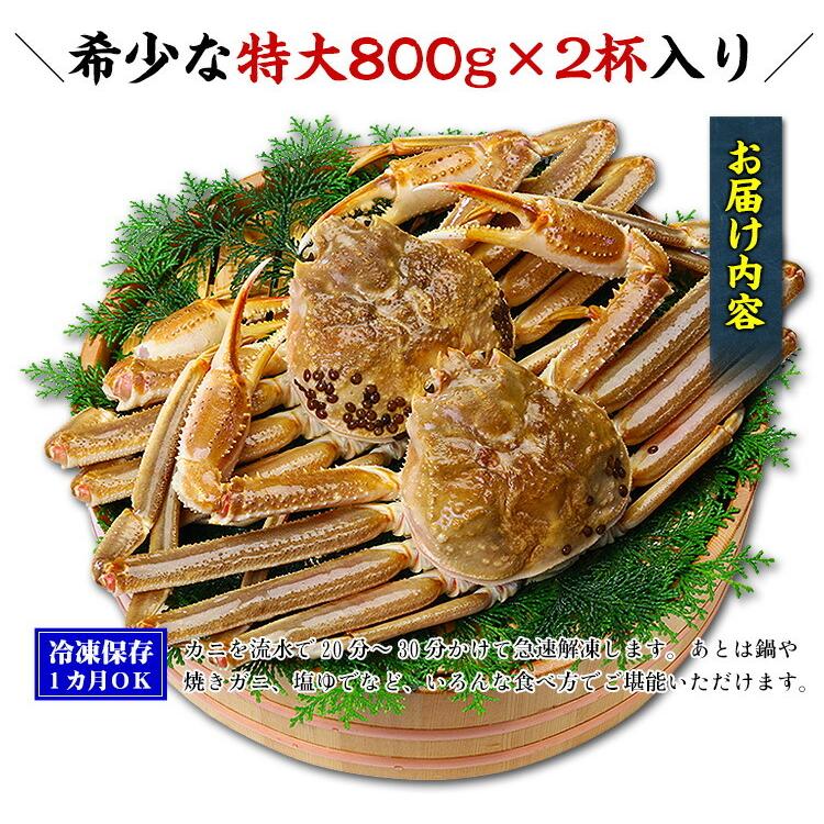 カニ かに 蟹 超特大サイズ 生ずわいがに姿800g前後×2尾入 ズワイガニ ギフト 贈り物 誕生日 母の日 FF｜kouragumi｜03