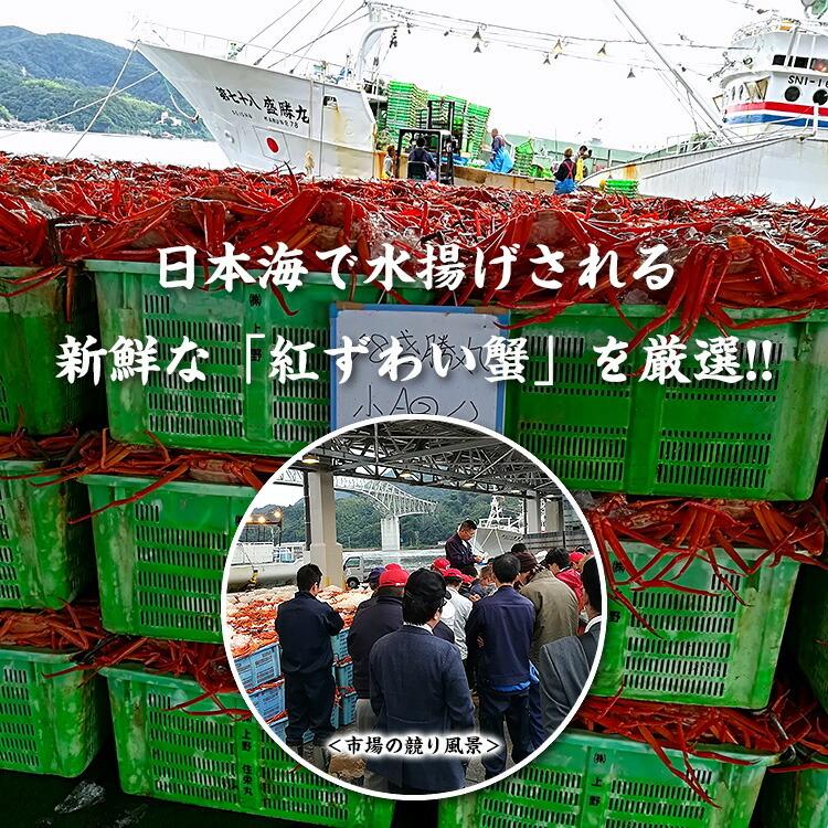 カニ かに 蟹 紅ずわい蟹 ほぐし身（高級棒くずれ）250g × 2パック 念願の カニ かに 蟹 食べ放題 フレーク FF ポイント利用 ギフト 贈り物 爆買の画像