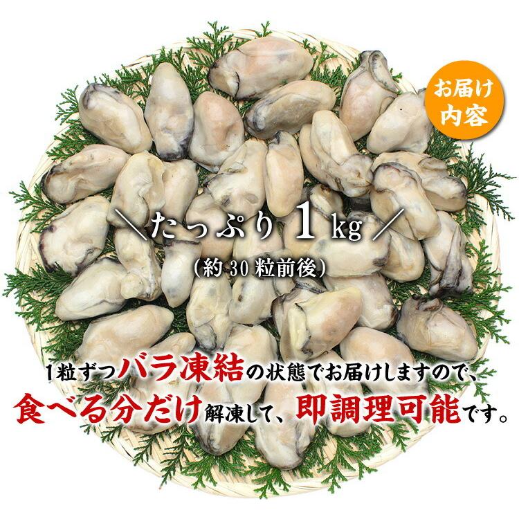 牡蠣 かき カキ 鍋 特大 1kg バラ凍結 冷凍 剥き身 広島かき ジャンボ （解凍後850g/約26〜35粒） FF｜kouragumi｜02