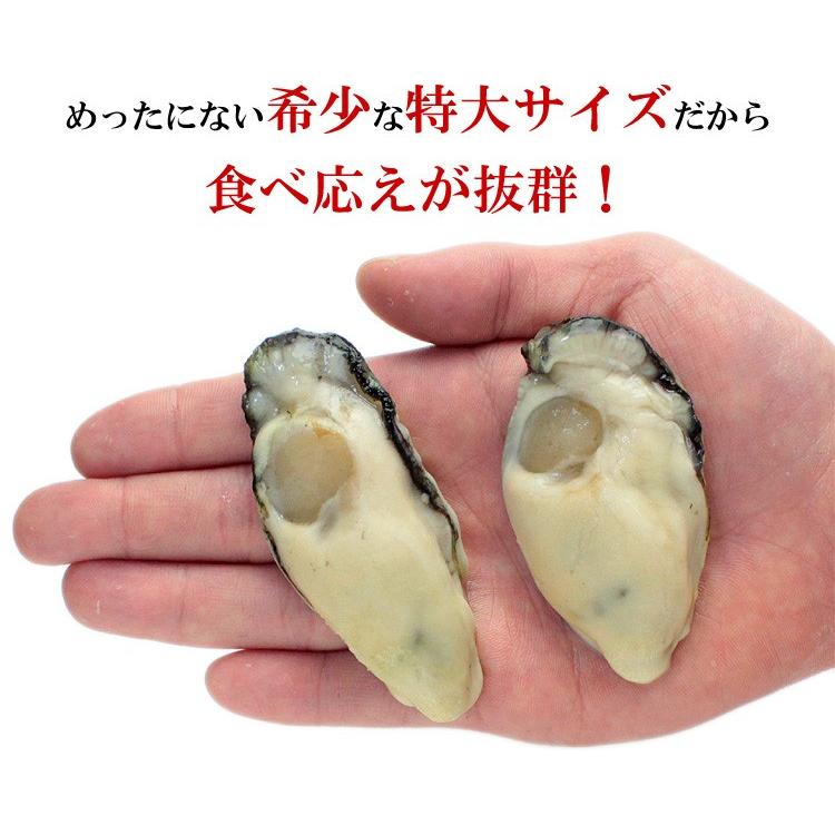 牡蠣 かき カキ 鍋 特大 1kg バラ凍結 冷凍 剥き身 広島かき ジャンボ （解凍後850g/約26〜35粒） FF｜kouragumi｜04