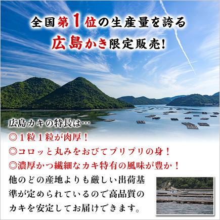 牡蠣 かき カキ 鍋 特大 1kg バラ凍結 冷凍 剥き身 広島かき ジャンボ （解凍後850g/約26〜35粒） FF｜kouragumi｜06