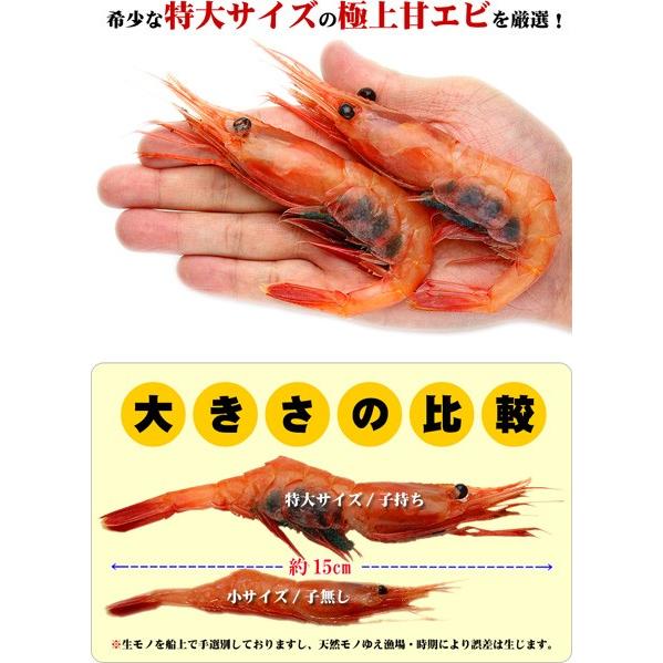 訳あり ボイル冷凍 おつまみ甘エビ ナンバン海老 ｓサイズ 1ｋｇ 甘海老を塩ゆで味付け不要 ボイル済み かに太郎 通販 Braggartボイル冷凍甘海老 中 5k Tecnomallas Com Ar