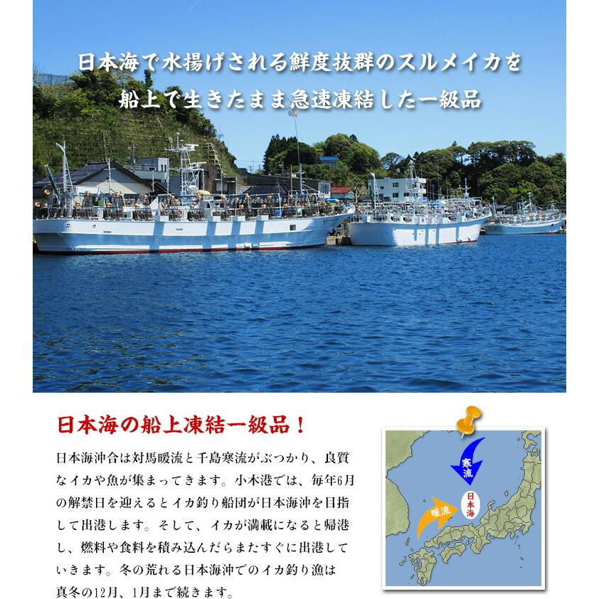 刺身用するめいか3杯入り/約600g前後（約200g前後×3ハイ）※船上冷凍の