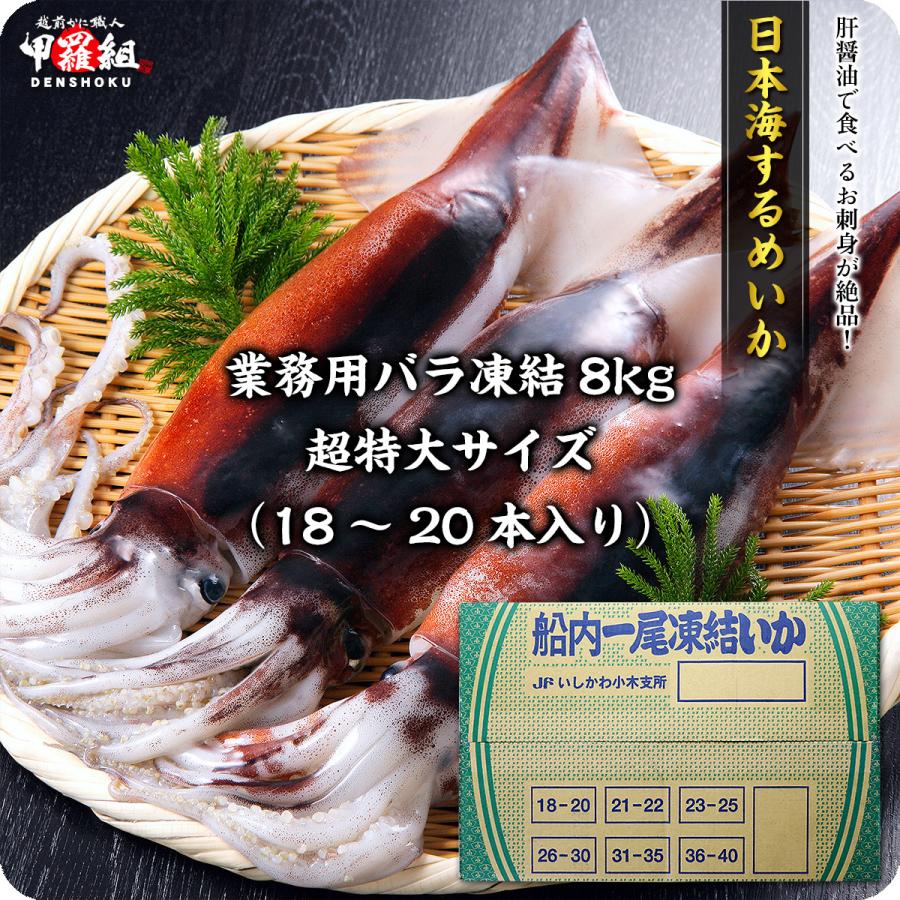 ストア 日本海の船凍するめいか業務用8kg 18 本入り 1