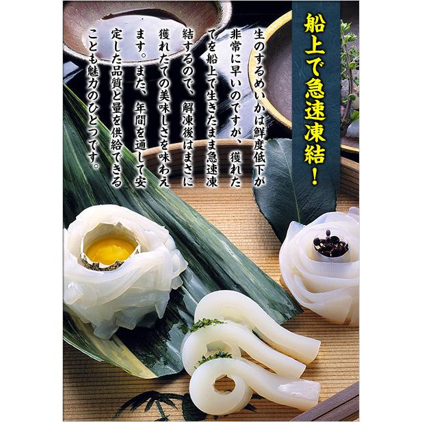 日本海の船凍するめいか業務用8kg 18 本入り 1本400g前後 バラツキあり スルメイカ マイカ 真いか 真イカ 刺身 塩辛 越前かに職人 甲羅組 通販 Paypayモール