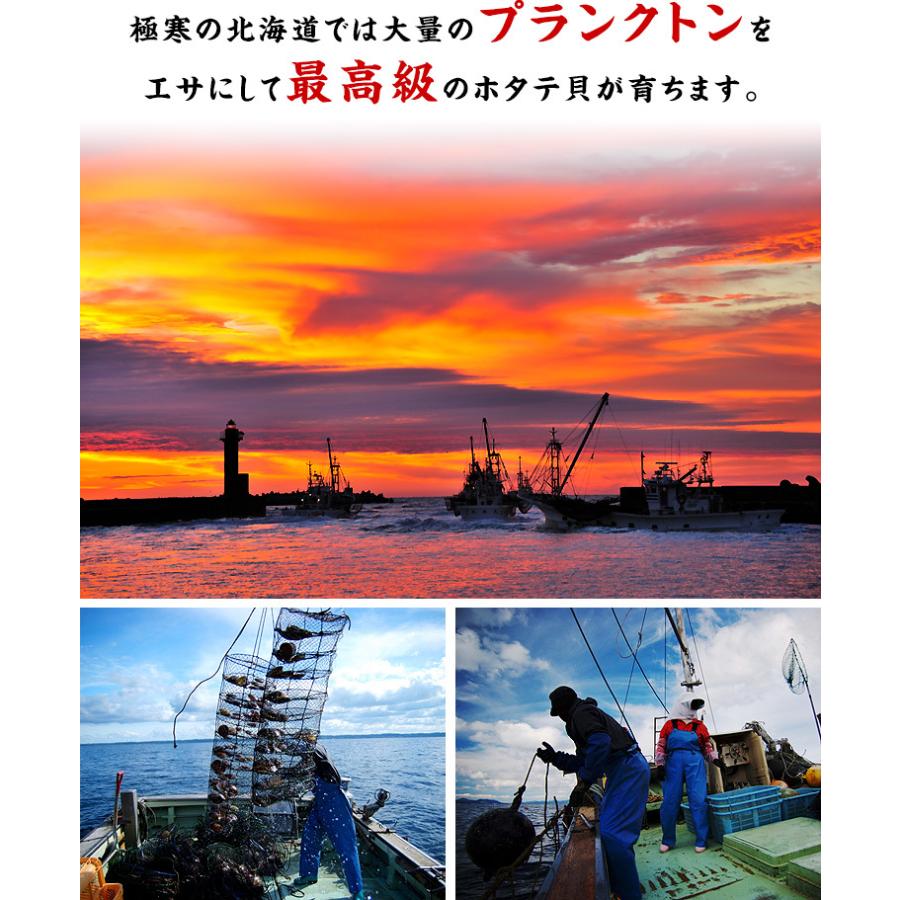 ホタテ 1kg ほたて 貝柱 生ほたて 希少な 特大 1kg 約31〜35粒前後 送料無料 ギフト 贈り物 誕生日 父の日 FF｜kouragumi｜03