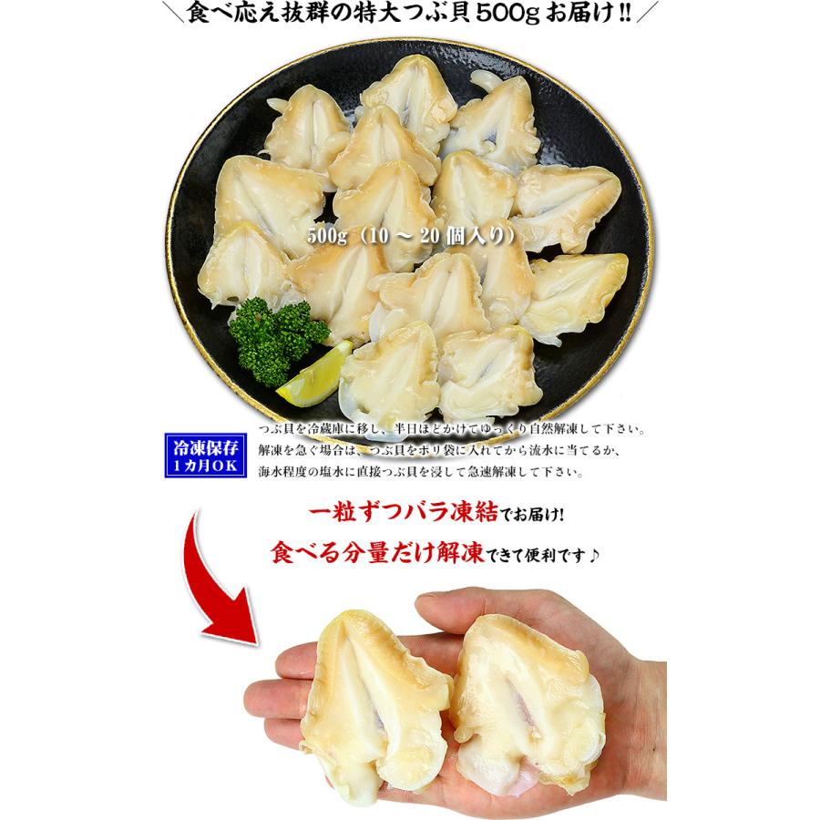 希少な特大サイズを厳選 お刺身用つぶ貝開き500g 2lサイズ 10 個入り 越前かに職人 甲羅組 通販 Paypayモール