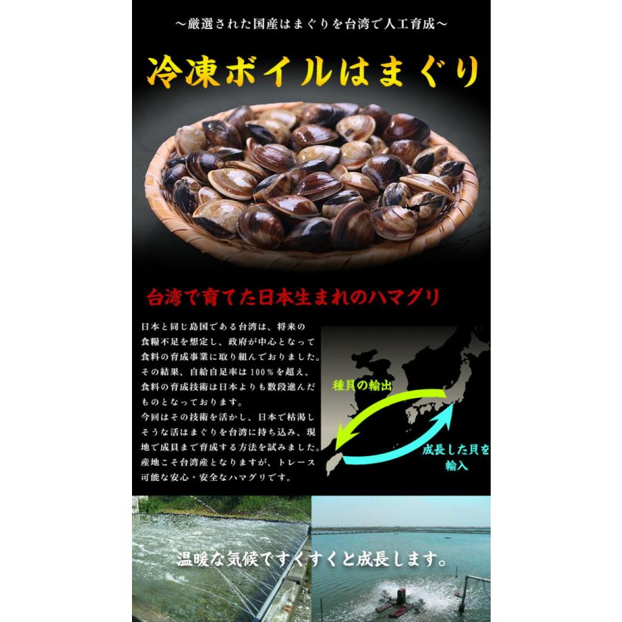 砂抜き不要!!使い勝手抜群の冷凍ボイルはまぐり業務用たっぷり1kg食べ