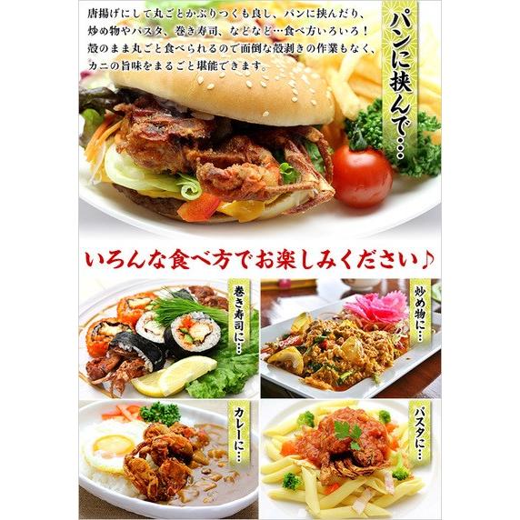 カニ かに 蟹 ソフトシェルクラブ 業務用 1kg 10〜12尾入 生冷凍 下処理済み 送料無料 マングローブクラブ 脱皮蟹 FF ポイント利用 爆買 |  | 03