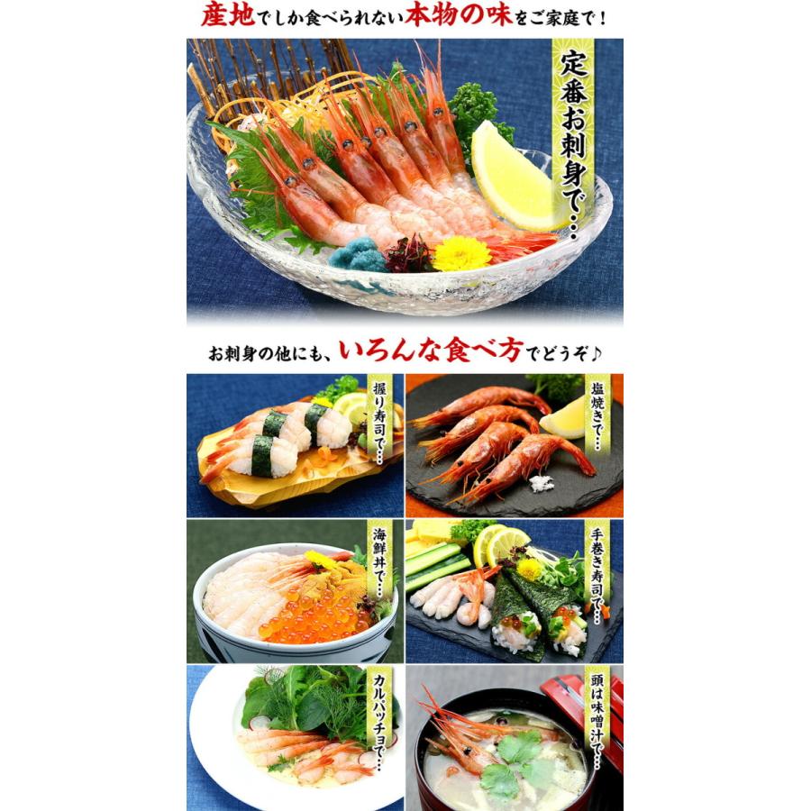 クーポン利用で1箱分1,980円無料！／日本海のお刺身甘エビ500g ※子持ち