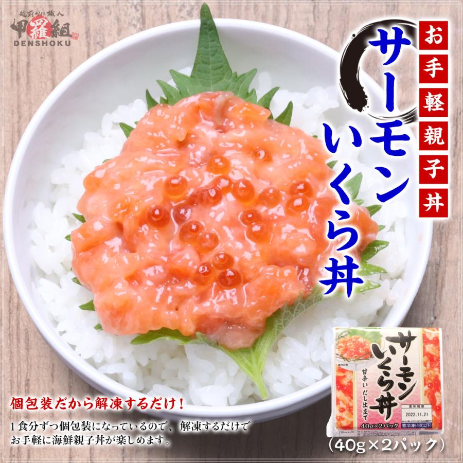 サーモンいくら丼（2食入×2パック） サーモン いくら トラウト 個食タイプ 時短5分 ポイント利用 爆買 |  | 01