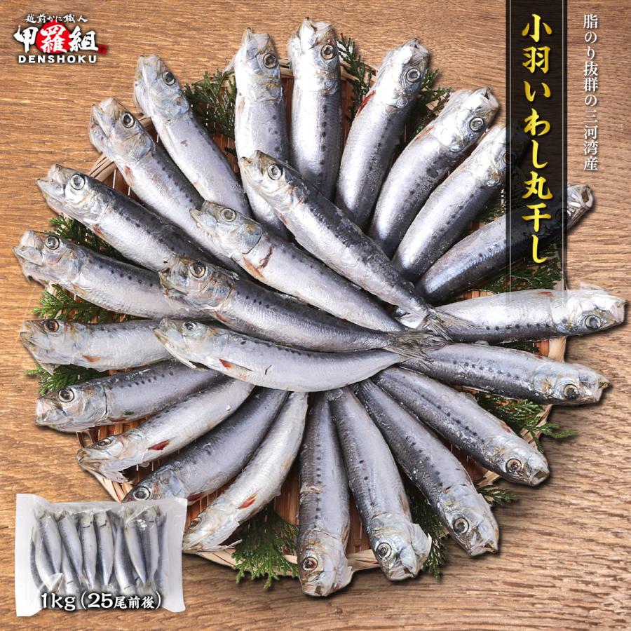 小羽いわし丸干し 1kg 25尾前後 イワシ 鰯 海鮮 魚 大容量 おかず 惣菜 焼魚 魚介 海鮮 BBQ 爆買（Yahoo!・越前かに職人 甲羅組）
