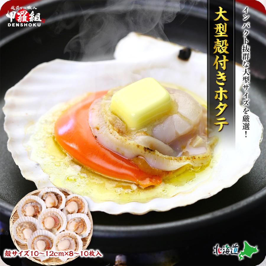 海鮮BBQにもってこい♪天然殻付き生ほたて大型サイズ（殻幅10〜12cm）×8~10枚入 帆立 ほたて ホタテ バーベキュー BBQ FF ポイント利用 の商品画像