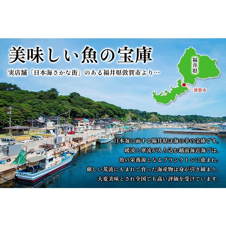 干物 ギフト のどぐろ 金目鯛 はたはた きんき 真イカ 赤かれい とろさば 縞ほっけ 詰め合わせ 8種 ギフト 贈り物 誕生日 父の日 ※加熱用　FF｜kouragumi｜02