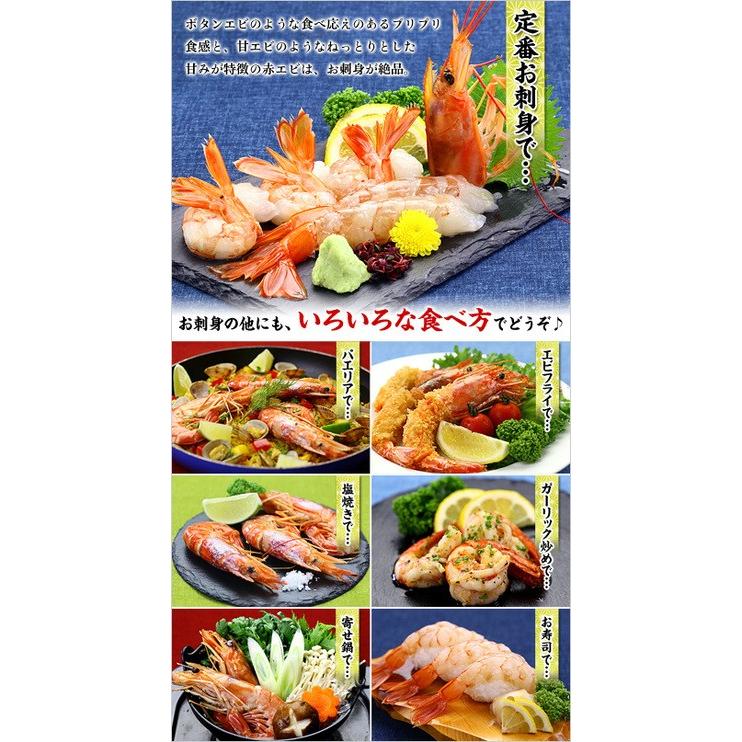 エビ 赤えび 特大サイズ 業務用 2kg(30〜35尾入り)赤エビ あかえび 送料無料 FF :200512:越前かに職人 甲羅組 - 通販 - Yahoo!ショッピング エビ 赤えび 特大サイズ 業務用 2kg(30〜35尾入り)赤エビ あかえび 送料無料 FF :200512:越前かに職人 甲羅組 - 通販 - Yahoo!ショッピング