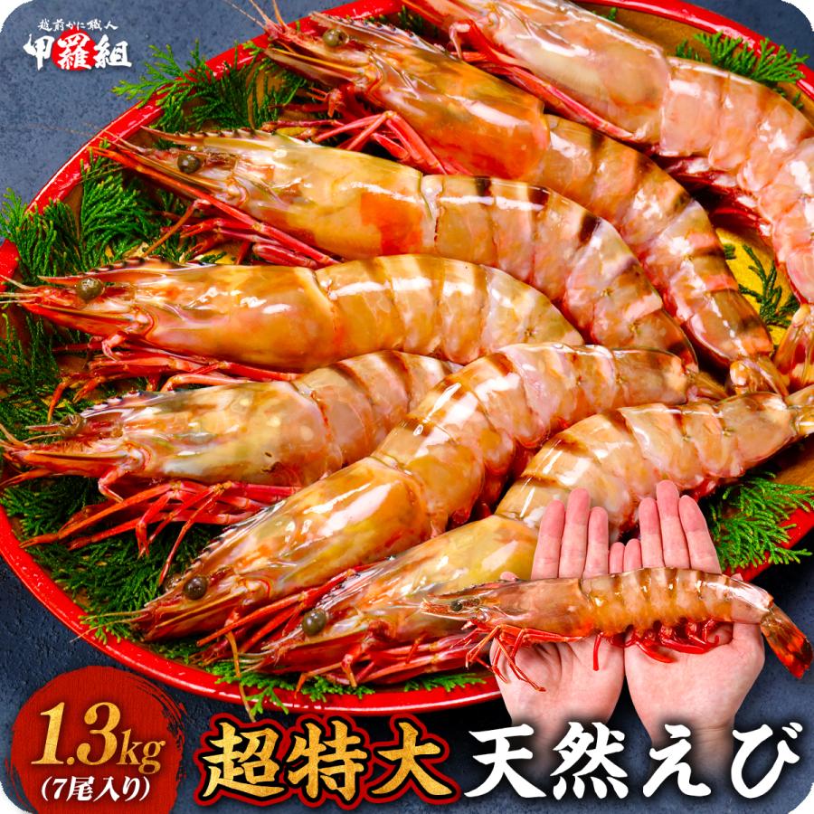 超特大シータイガー 業務用 1.3kg 7尾（1尾185g前後/約28cm）