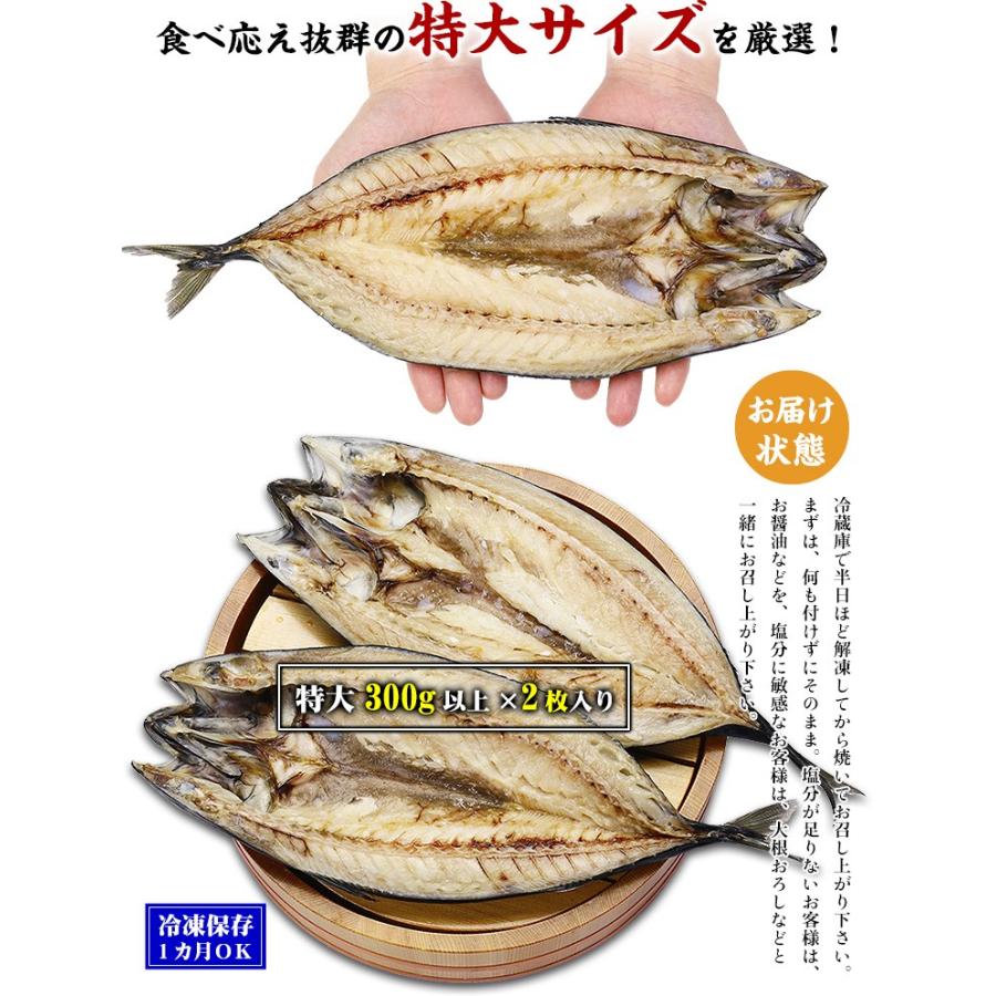 干物 鯖 トロさば とろサバ 開き 肉厚 特大サイズ 2枚入 さば サバ 一夜干し おつまみ ギフト 贈り物 誕生日｜kouragumi｜02