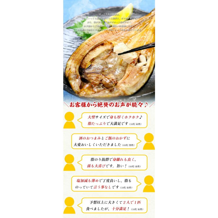 プレミアム会員限定半額セール 上品 グリルからはみ出る 脂のり抜群の北海道産真ほっけ一夜干し大型サイズ300g 2枚入り 干物 一夜干し ほっけ 真ホッケ