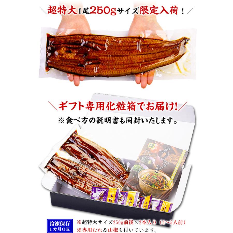 鹿児島 ブランド うなぎ蒲焼き 約250g前後 2尾入り 化粧箱 食べ方説明書 タレ 山椒付き 鰻 ウナギ 御中元 贈り物 越前かに職人 甲羅組 通販 Paypayモール