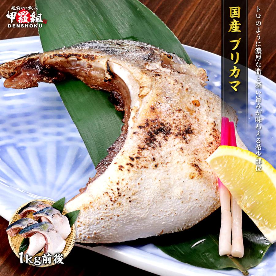 国産 ブリカマ 1kg 鰤 ぶり ぶりかま ブリかま カマ かま 冷凍 煮つけ 塩焼き グリル 人気 定番 お取り寄せ  爆買 コスパ アウトドア（Yahoo!・越前かに職人 甲羅組）