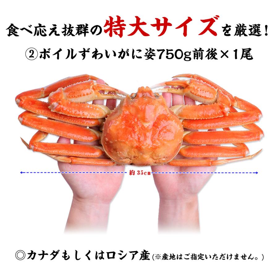 カニ かに 蟹 タラバ蟹・ずわい蟹食べ比べセット (ずわい蟹 たらば蟹