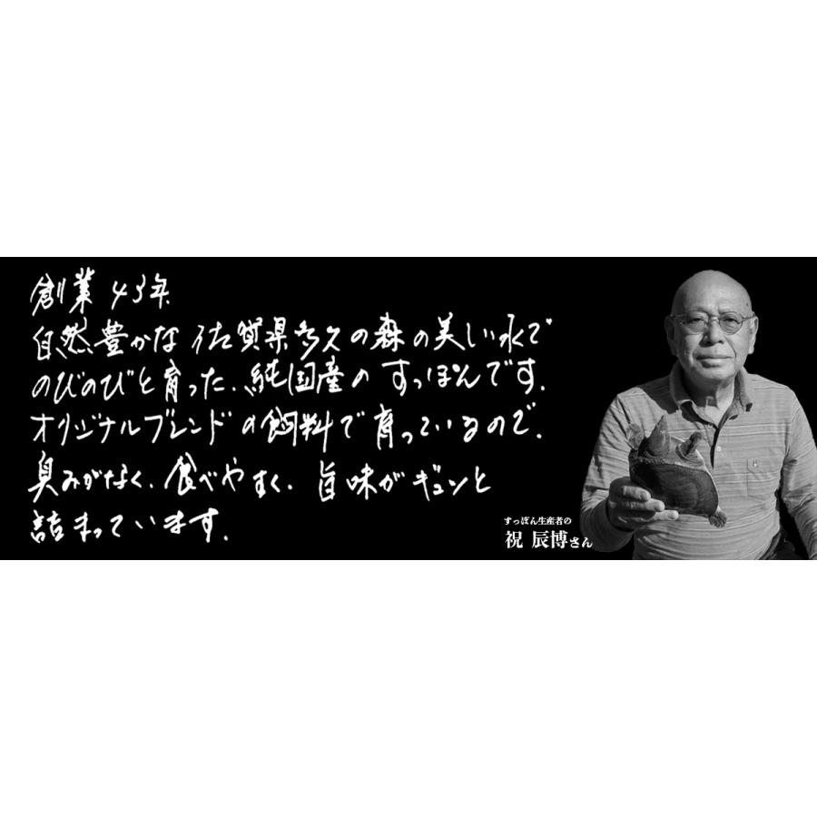 ＼ まとめ買いクーポン発行中！／ スッポン すっぽん 鍋 寄せ鍋 産直 佐賀県産ぜいたくすっぽん鍋300g ２人前セット ギフト 贈り物 誕生日 母の日｜kouragumi｜07