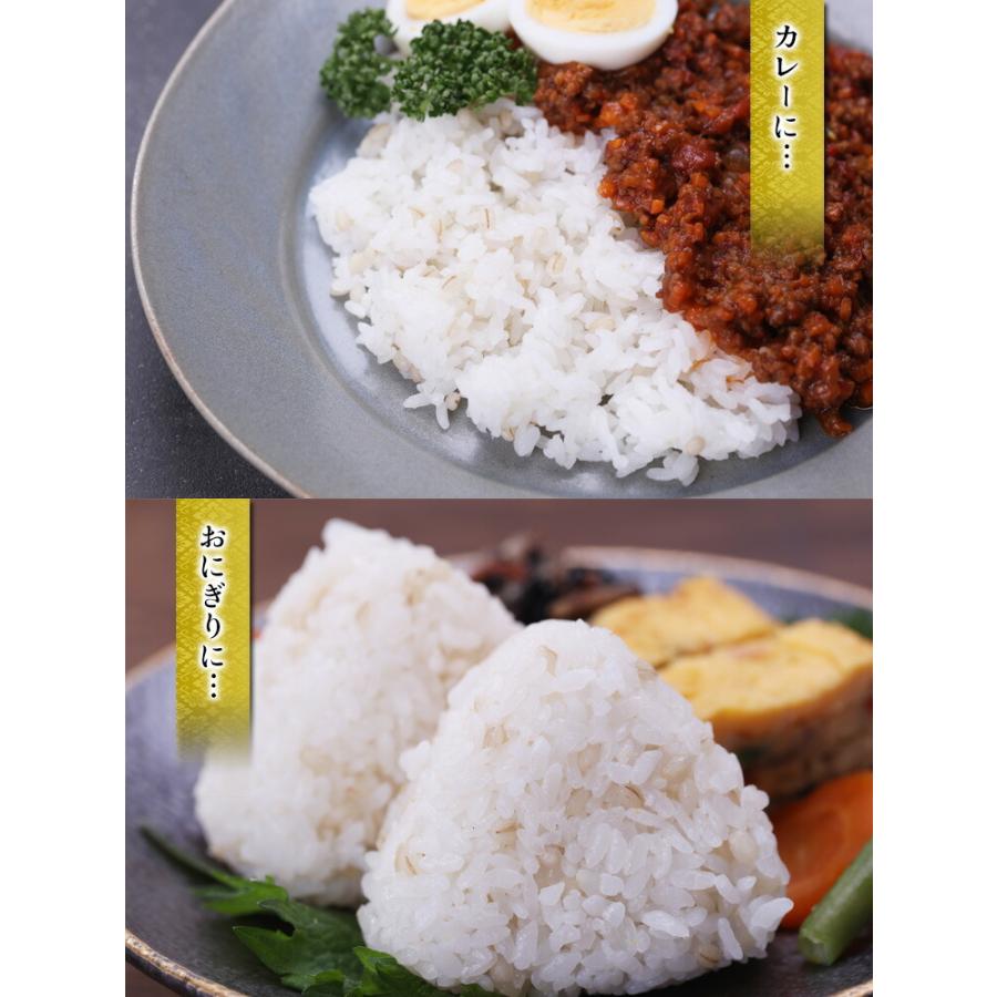 腸活美人 もち麦900g はねうまもち もち麦 ダイエット チャック付き ポスト投函 メール便 国産 大麦 福井県産 穀類 雑穀 麦ごはん 麦ご飯 新作アイテム毎日更新 国産