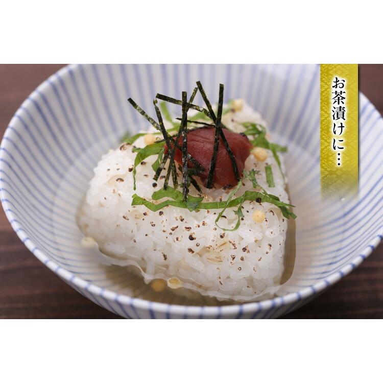 売れ筋ランキングも コレクタ クロゴケグモ クモ フィギュア 4