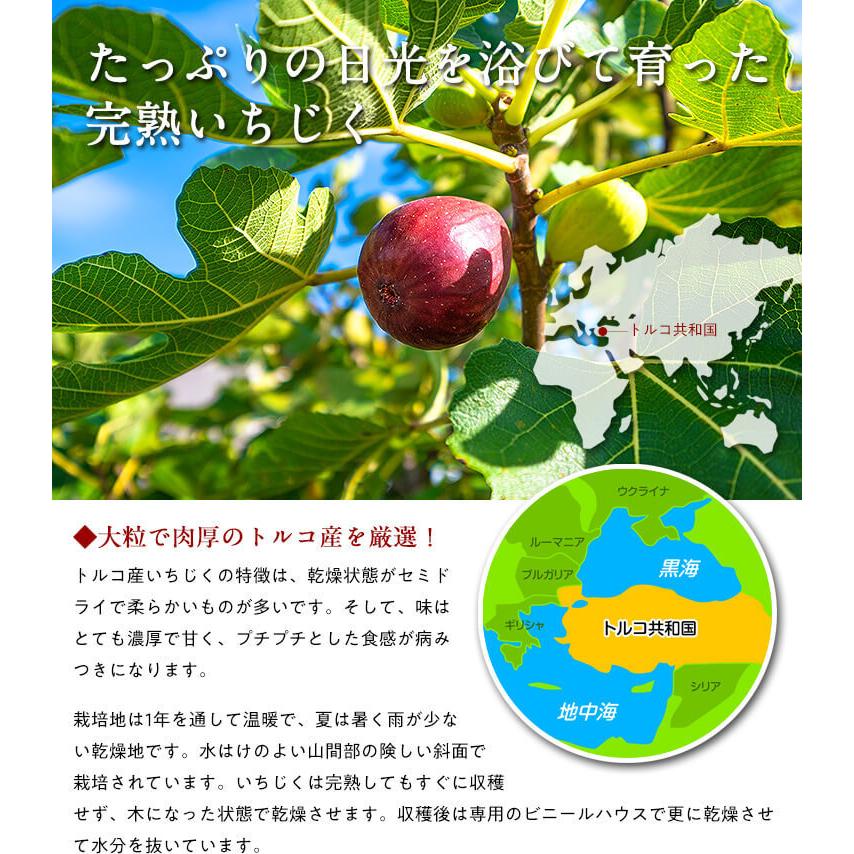 送料無料1,000円ぽっきり!【無添加/砂糖不使用】完熟ドライいちじく500g イチジク 無花果 :900072:越前かに職人 甲羅組 - 通販 - Yahoo!ショッピング 送料無料1,000円ぽっきり!【無添加/砂糖不使用】完熟ドライいちじく500g イチジク 無花果 :900072:越前かに職人 甲羅組 - 通販 - Yahoo!ショッピング
