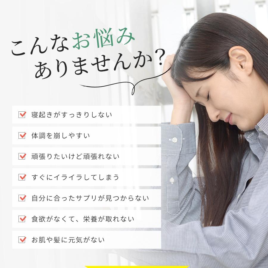 新・まるごと高麗人参90粒 (6年根・高麗紅参粉末100 新・まるごと高麗人参90粒 (6年根・高麗紅参粉末100