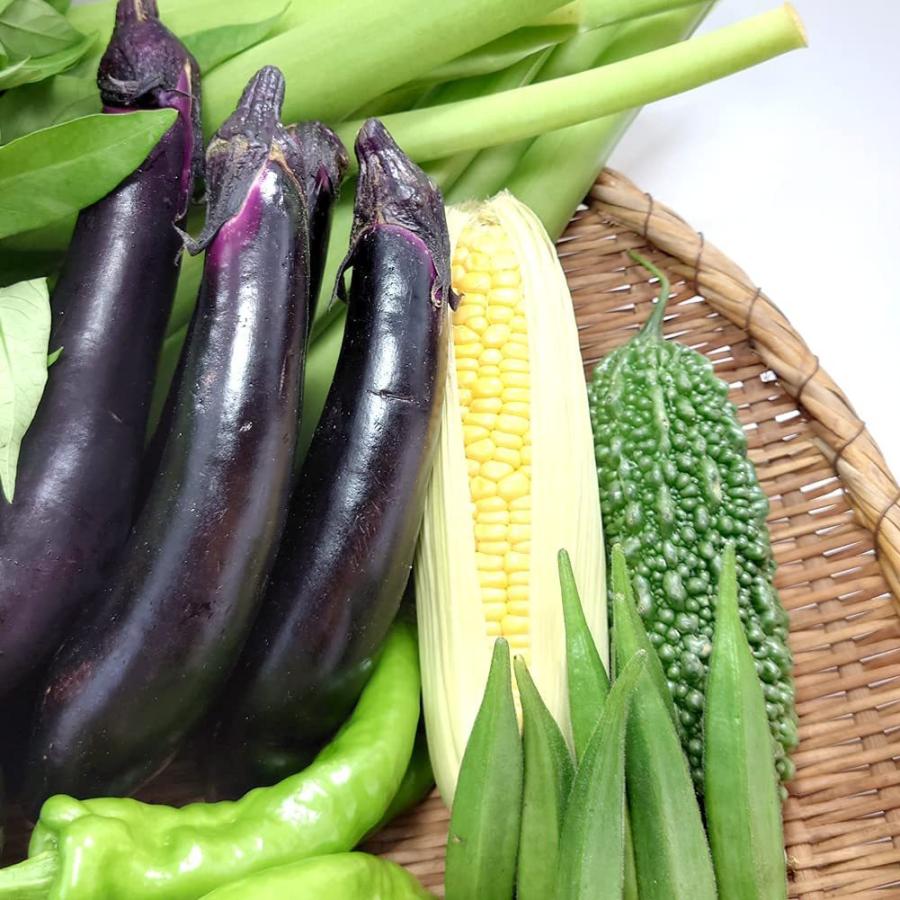 配送可能）鉄箱 鉄カゴ 農業 じゃがいも 大量にあります。