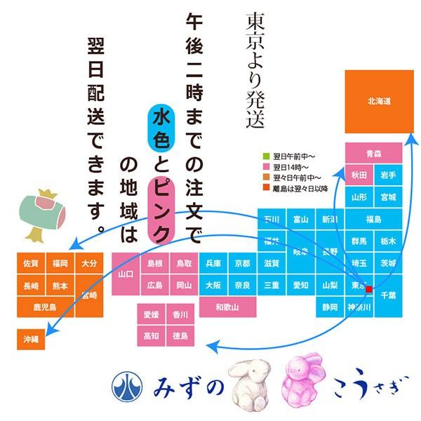 一升餅 選べる16種類 送料無料 風呂敷付きセット リュック巾着 わらじ　誕生餅 一生餅 一歳 誕生日 祝い 小分け いっしょう もち かわいい 思い出に｜kousagi-mizuno｜12