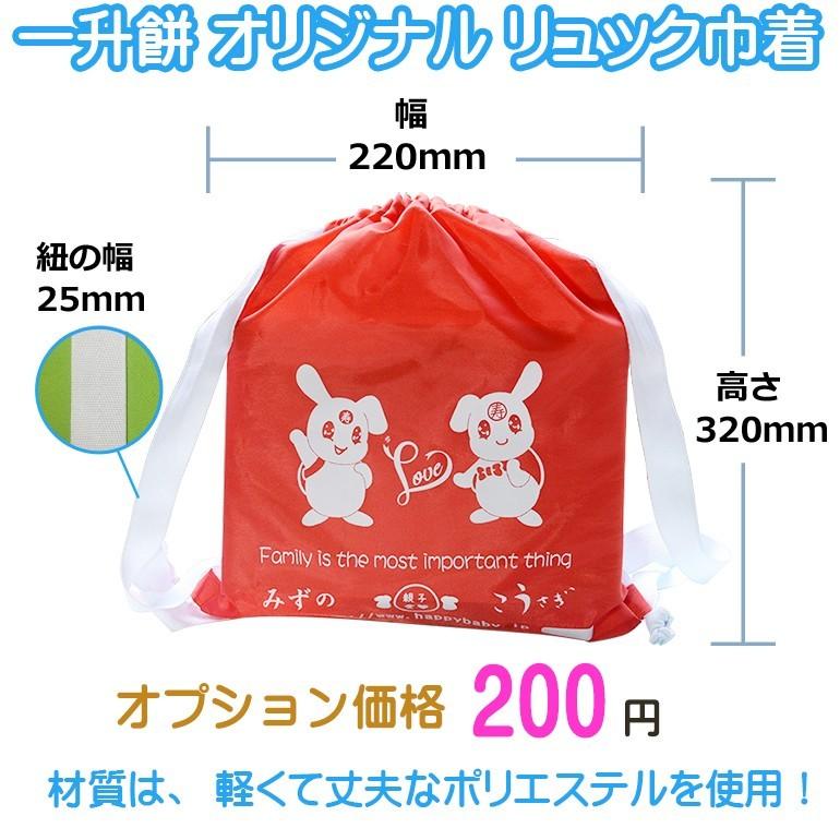 一升餅 選べる16種類 送料無料 風呂敷付きセット リュック巾着 わらじ　誕生餅 一生餅 一歳 誕生日 祝い 小分け いっしょう もち かわいい 思い出に｜kousagi-mizuno｜16