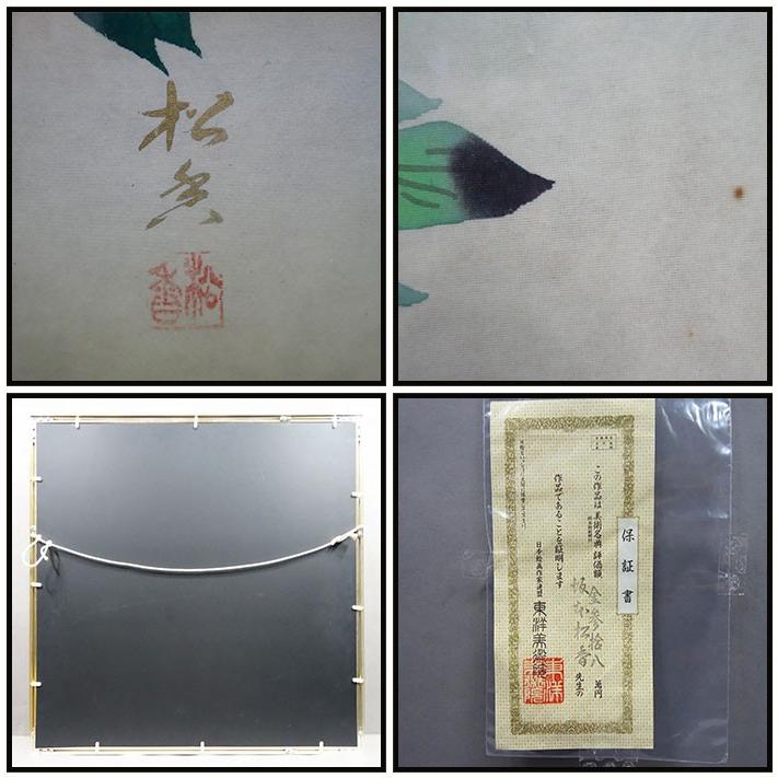 坂本松香 牡丹 絵画 水彩 中古_1