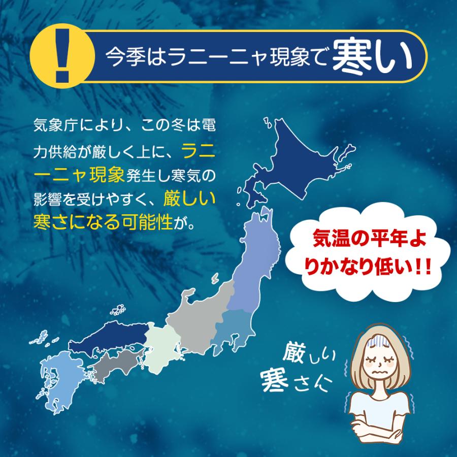 セラミックファンヒーター 1台3役 122枚加熱プレート 2秒速暖 対流式加熱 自動温度調節 スチーム式加湿 タイマー機能 衣類乾燥 転倒自動OFF 省エネ 年内緊急｜kouseisyouten｜02